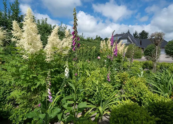 Gaestehaus Ollech Apartman